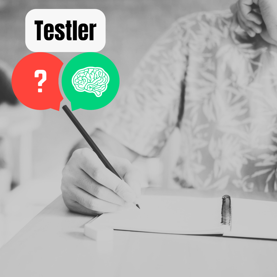 GM-GMY Test Çalışma Alanı